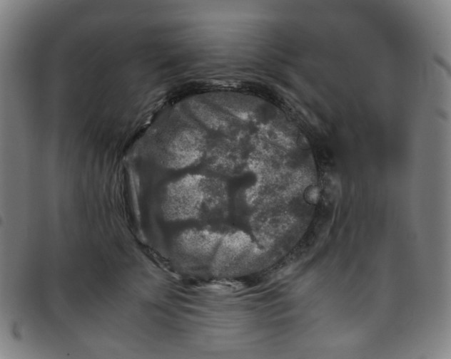 X0000097480707200803071716