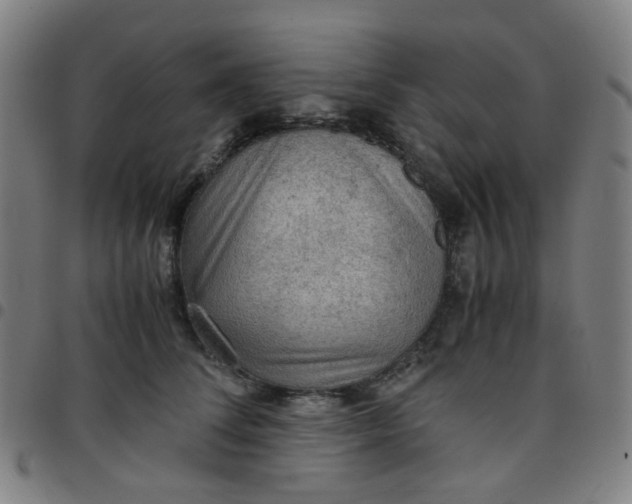 X0000097480708200803071716