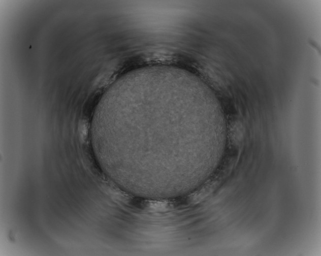 X0000097480709200803071716