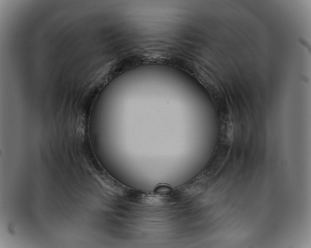 X0000097480710200803071716