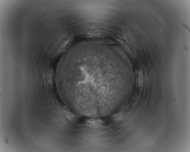 X0000097480712200803071716