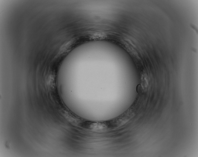 X0000097480714200803071716