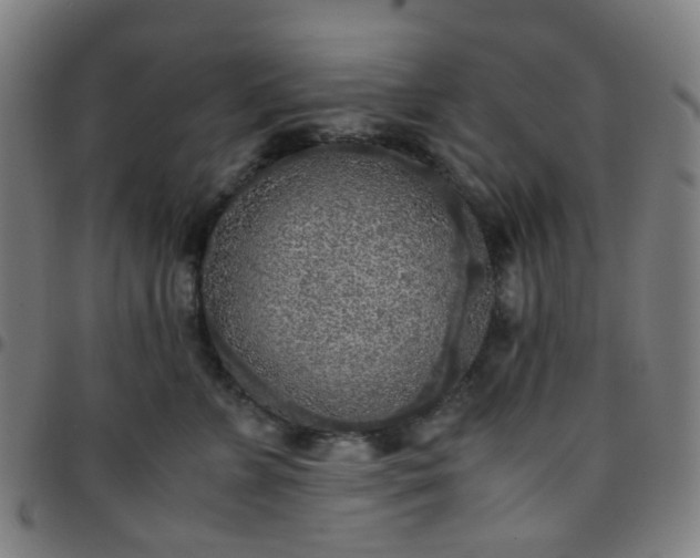 X0000097480715200803071716