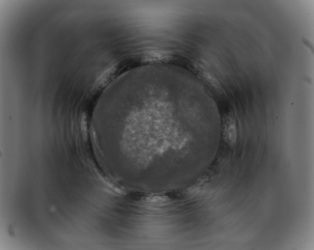 X0000097480716200803071716