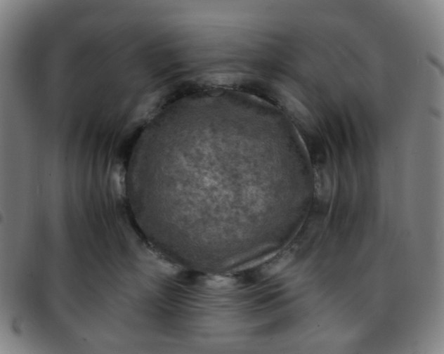 X0000097480718200803071716