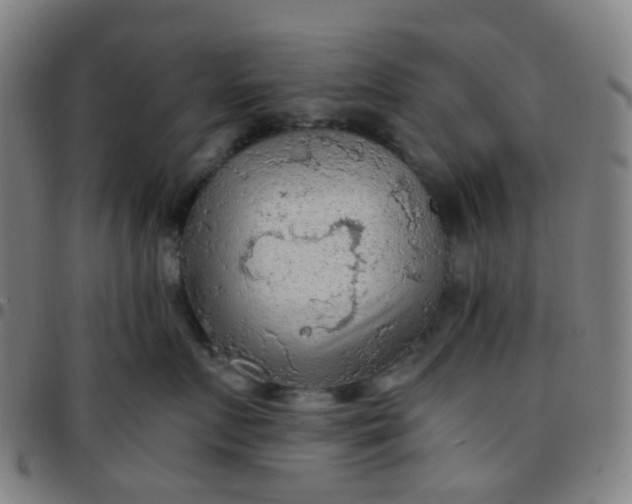 X0000097480719200803071716