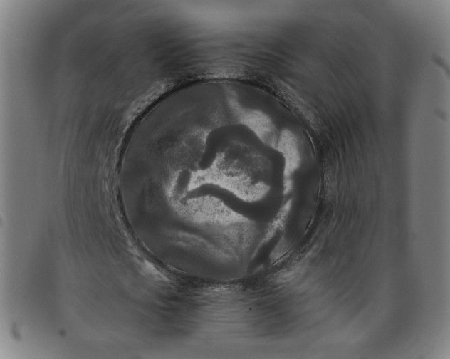 X0000097480721200803071716