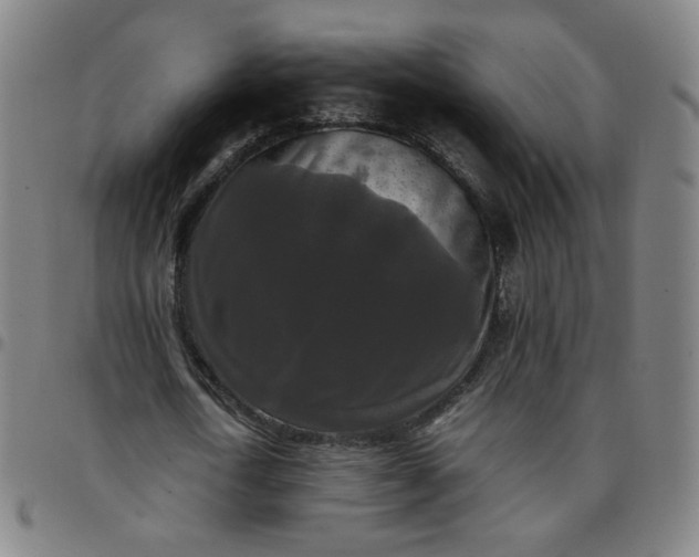 X0000097480722200803071716