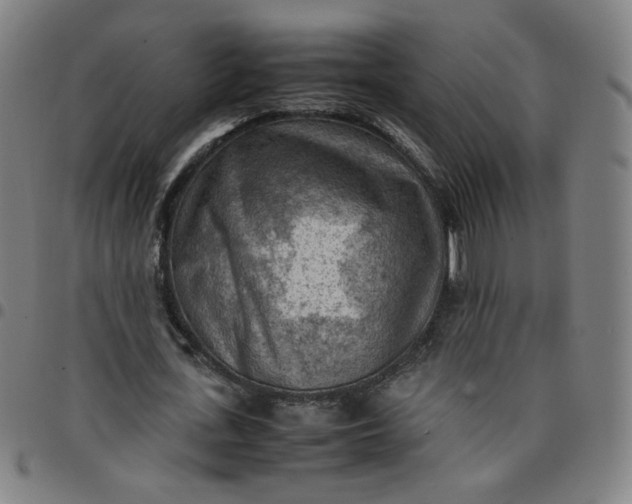 X0000097480723200803071716