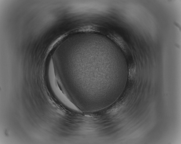 X0000097480724200803071716