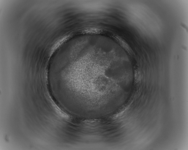 X0000097480725200803071716