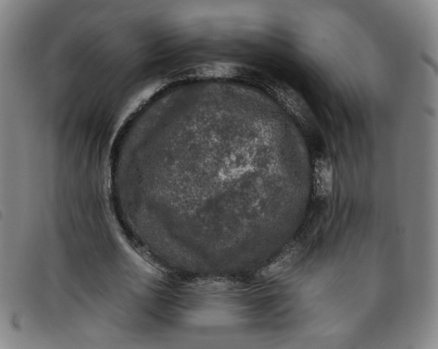 X0000097480726200803071716