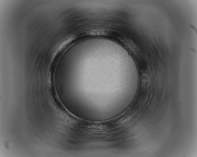 X0000097480727200803071716