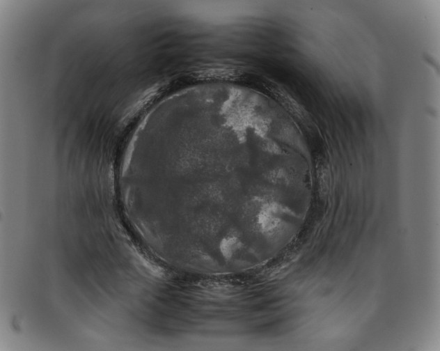 X0000097480729200803071716