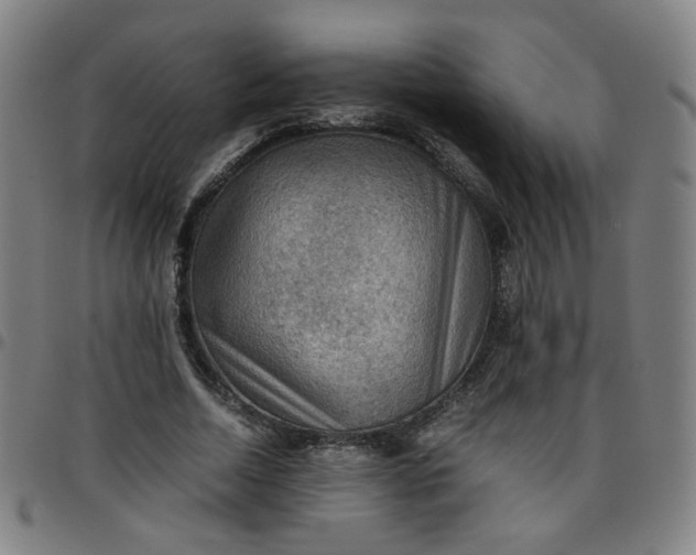 X0000097480730200803071716