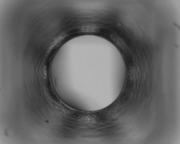 X0000097480731200803071716