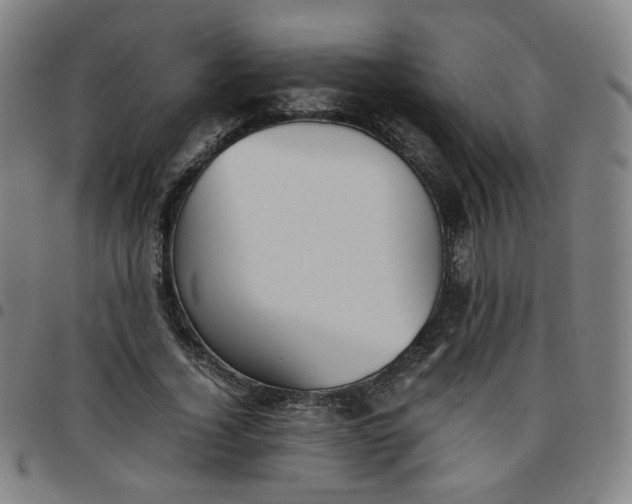 X0000097480732200803071716