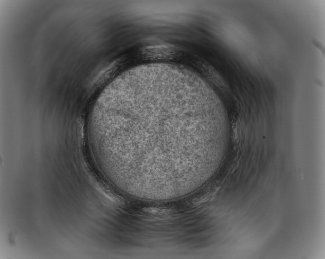 X0000097480733200803071716