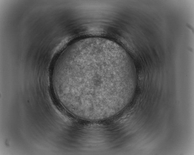 X0000097480734200803071716