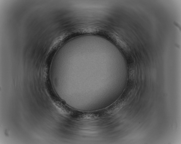 X0000097480736200803071716