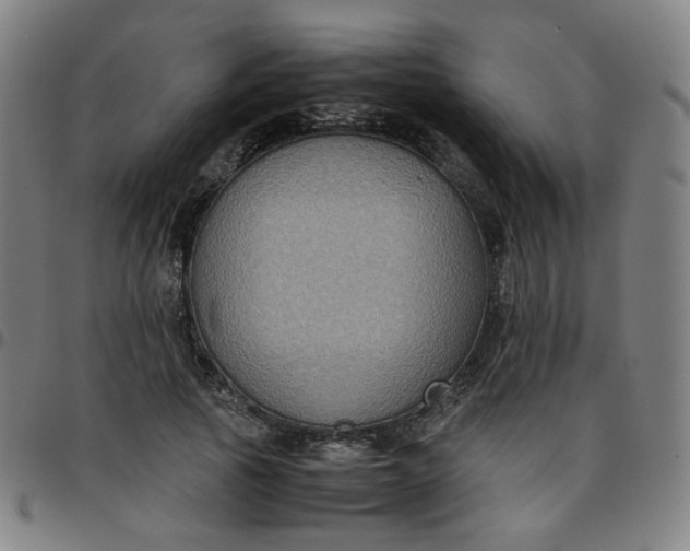 X0000097480737200803071716