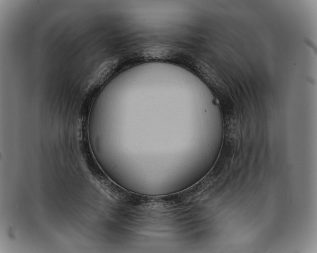 X0000097480738200803071716