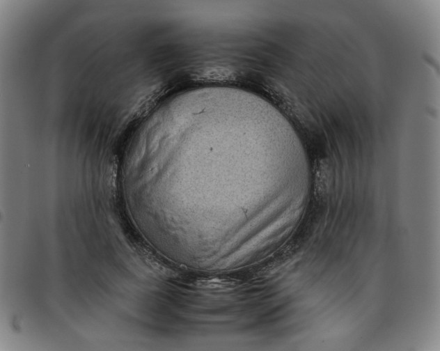 X0000097480739200803071716