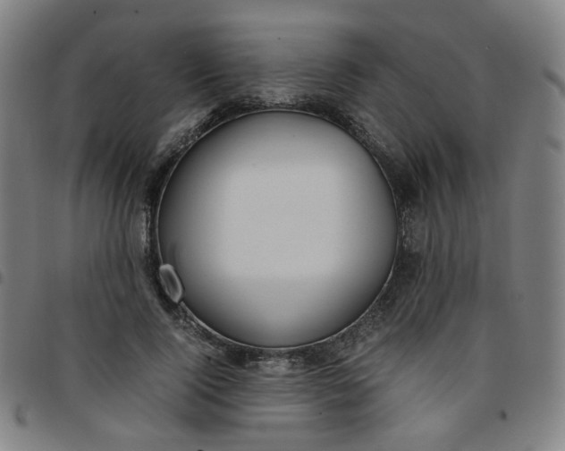 X0000097480740200803071716