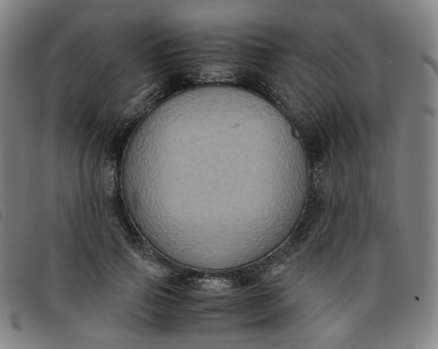 X0000097480741200803071716