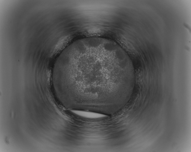 X0000097480742200803071716