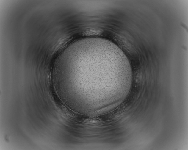 X0000097480743200803071716