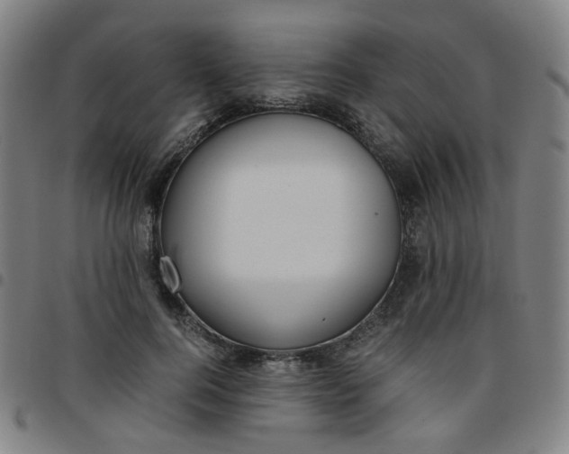 X0000097480744200803071716