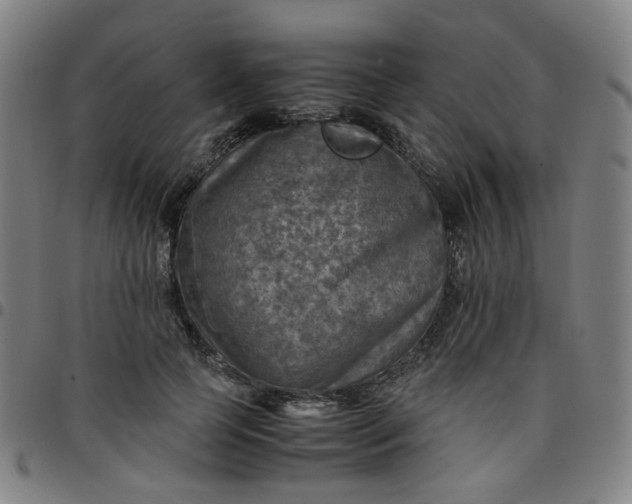 X0000097480745200803071716