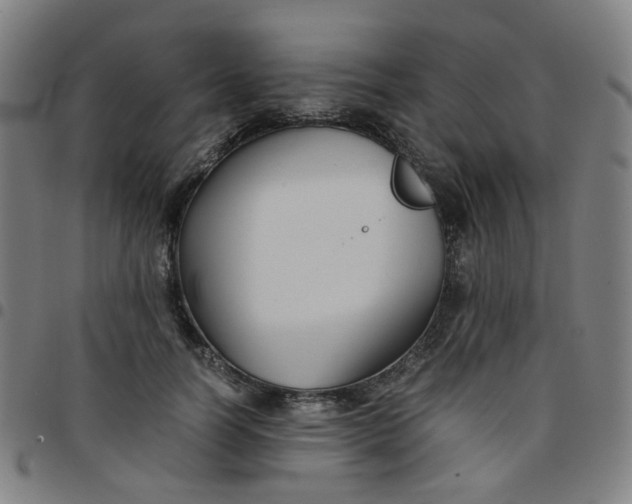 X0000097480746200803071716