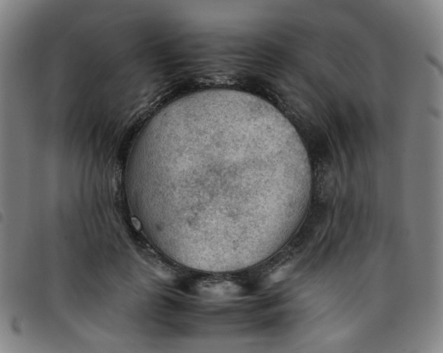 X0000097480747200803071716