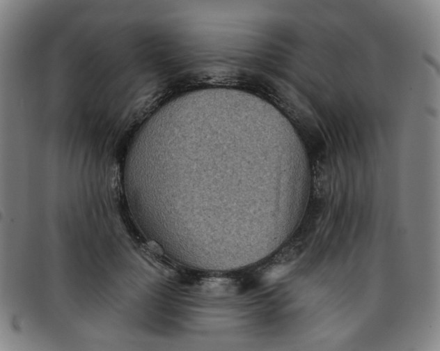 X0000097480748200803071716