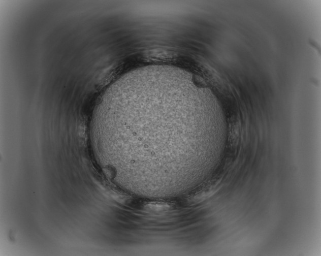 X0000097480749200803071716