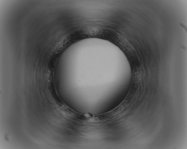 X0000097480750200803071716