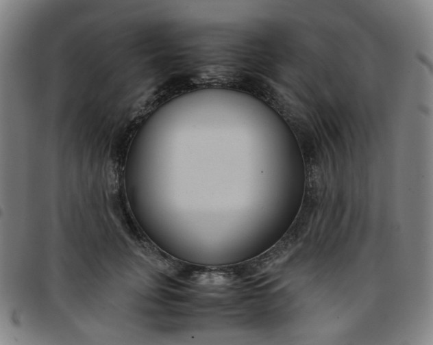 X0000097480751200803071716