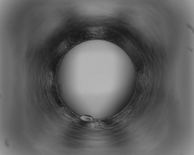 X0000097480752200803071716