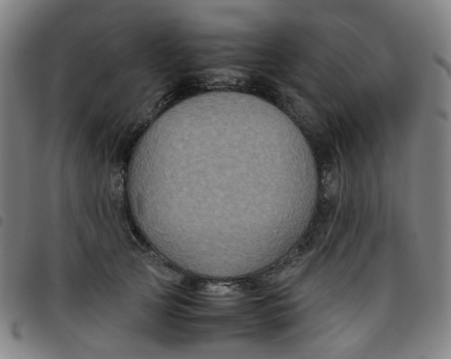 X0000097480753200803071716