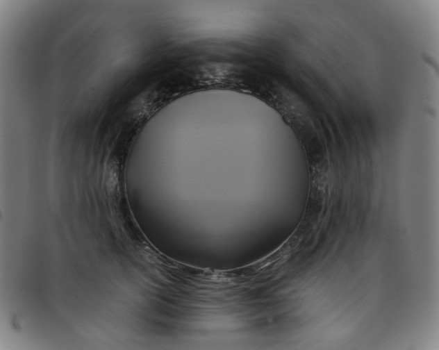 X0000097480754200803071716