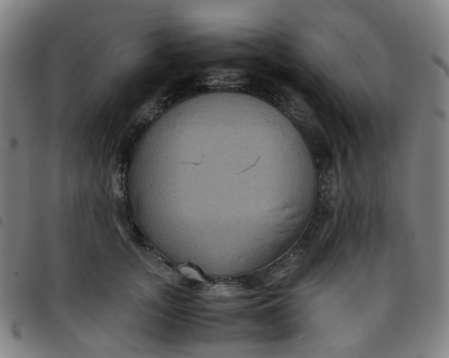 X0000097480755200803071716