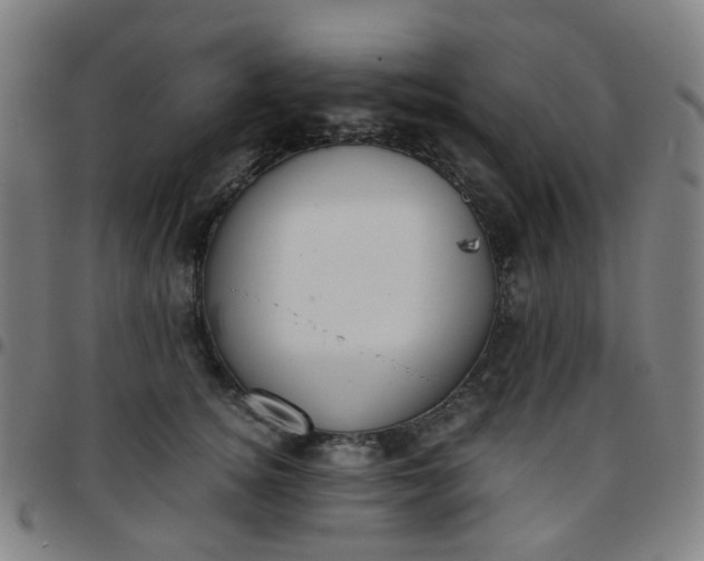 X0000097480756200803071716