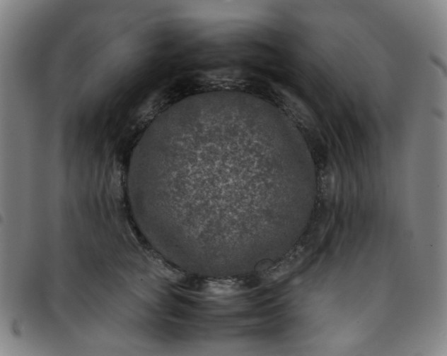 X0000097480757200803071716