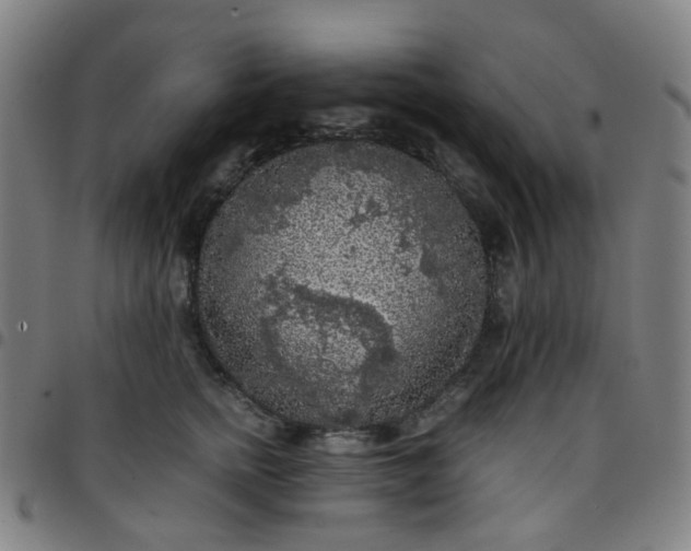 X0000097480758200803071716