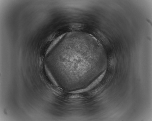 X0000097480759200803071716