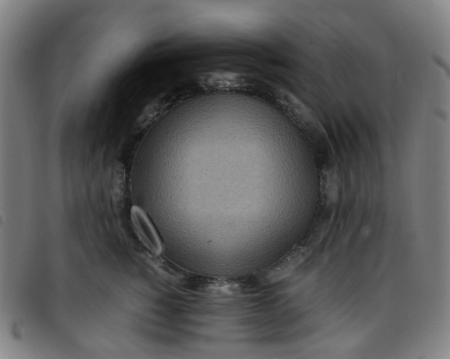 X0000097480760200803071716