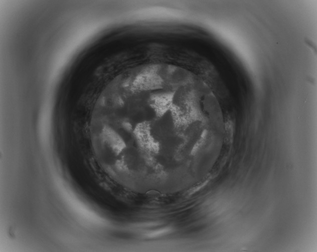 X0000097480765200803071716