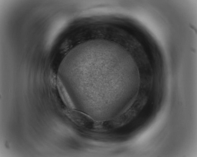 X0000097480766200803071716